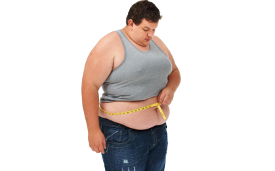 Obesitas vs lemak : Obesitas boleh ga sih makan lemak?